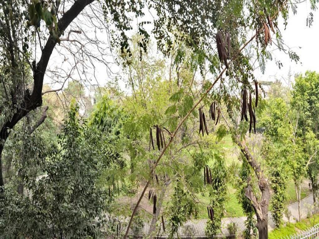 Haveli Hauz Khas Bed and Breakfast Νέο Δελχί Δωμάτιο φωτογραφία