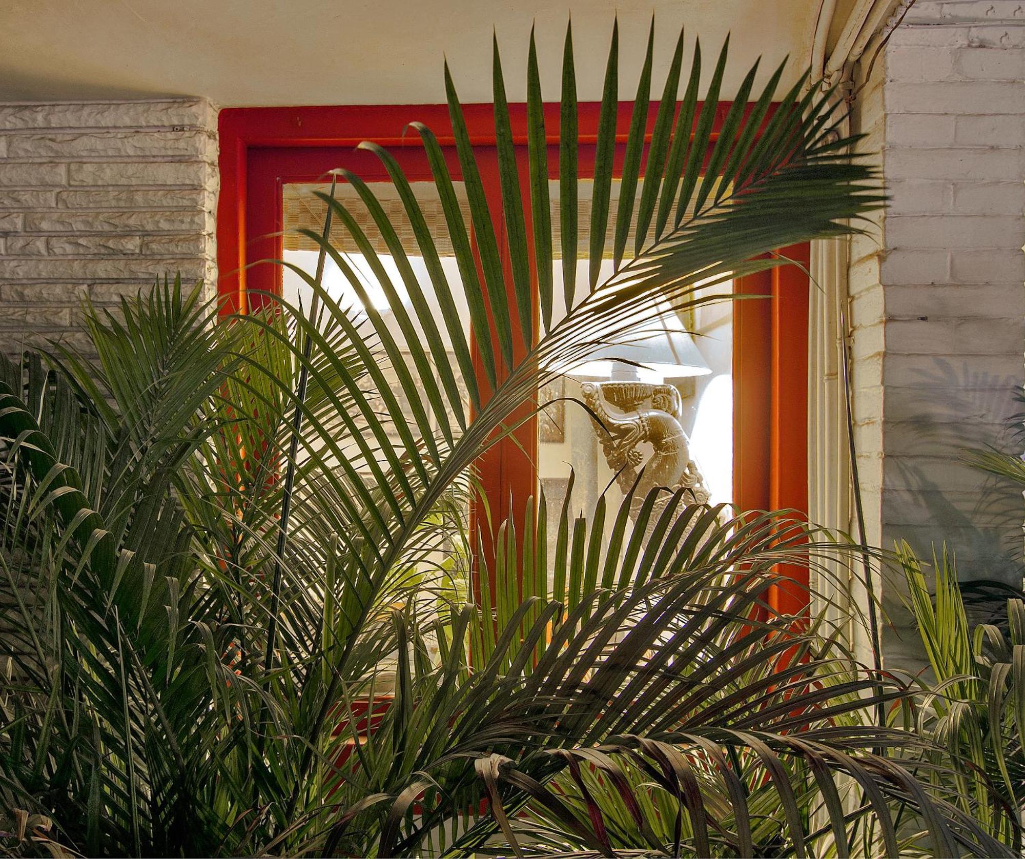Haveli Hauz Khas Bed and Breakfast Νέο Δελχί Εξωτερικό φωτογραφία