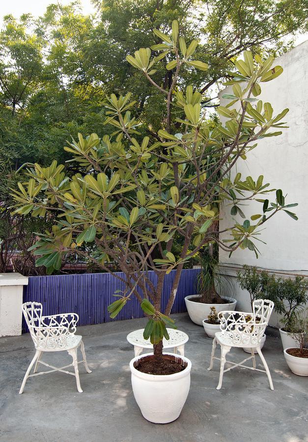 Haveli Hauz Khas Bed and Breakfast Νέο Δελχί Εξωτερικό φωτογραφία